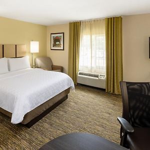 King Studio Suite